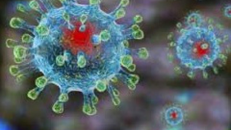 Профилактика коронавирусной инфекции и острых респираторных заболеваний