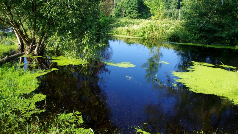Увидеть красоту родной земли. В ГрГМУ открылась фотовыставка «Реки Беларуси»