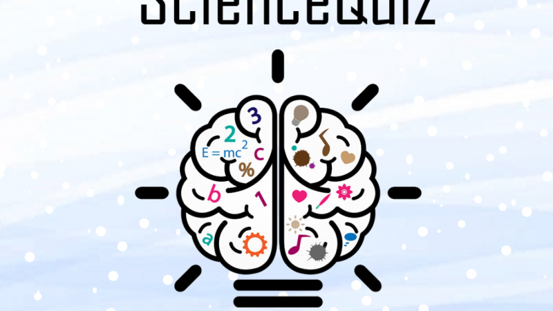 Новогодний благотворительный ScienceQuiz