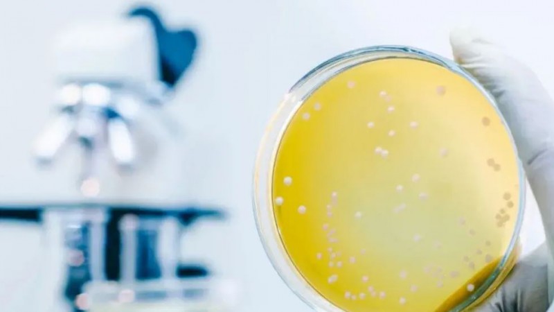 Что нужно знать о бессимптомной бактериурии?
