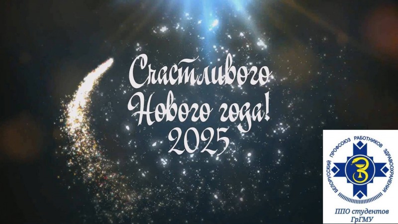 Студенческая профсоюзная организация поздравляет с Новым 2025 годом!