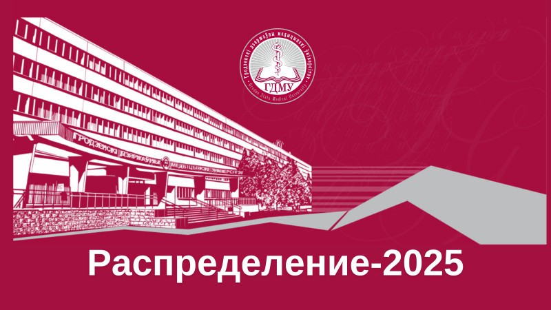 Распределение выпускников 2025 года