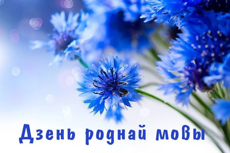 Конкурс эсэ, прысвечаны Міжнароднаму дню роднай мовы