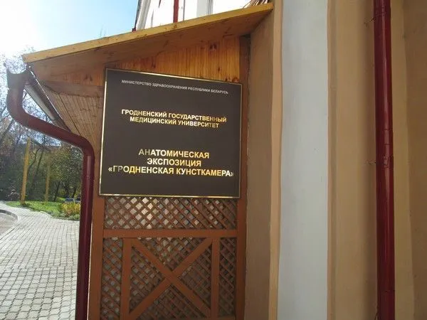 Объявление о работе Гродненской кунсткамеры