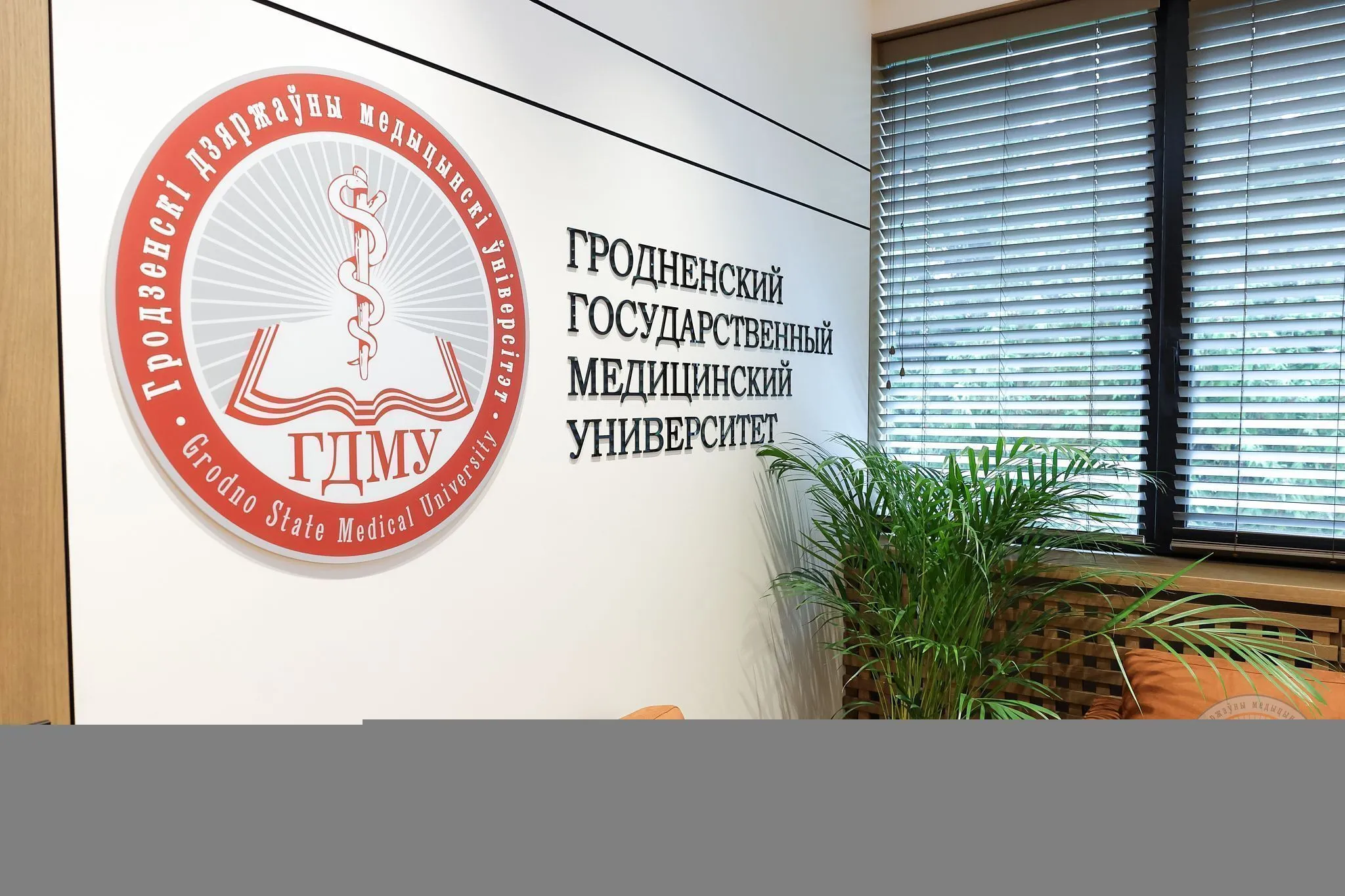 Год благоустройства в ГрГМУ: преображение вуза продолжается