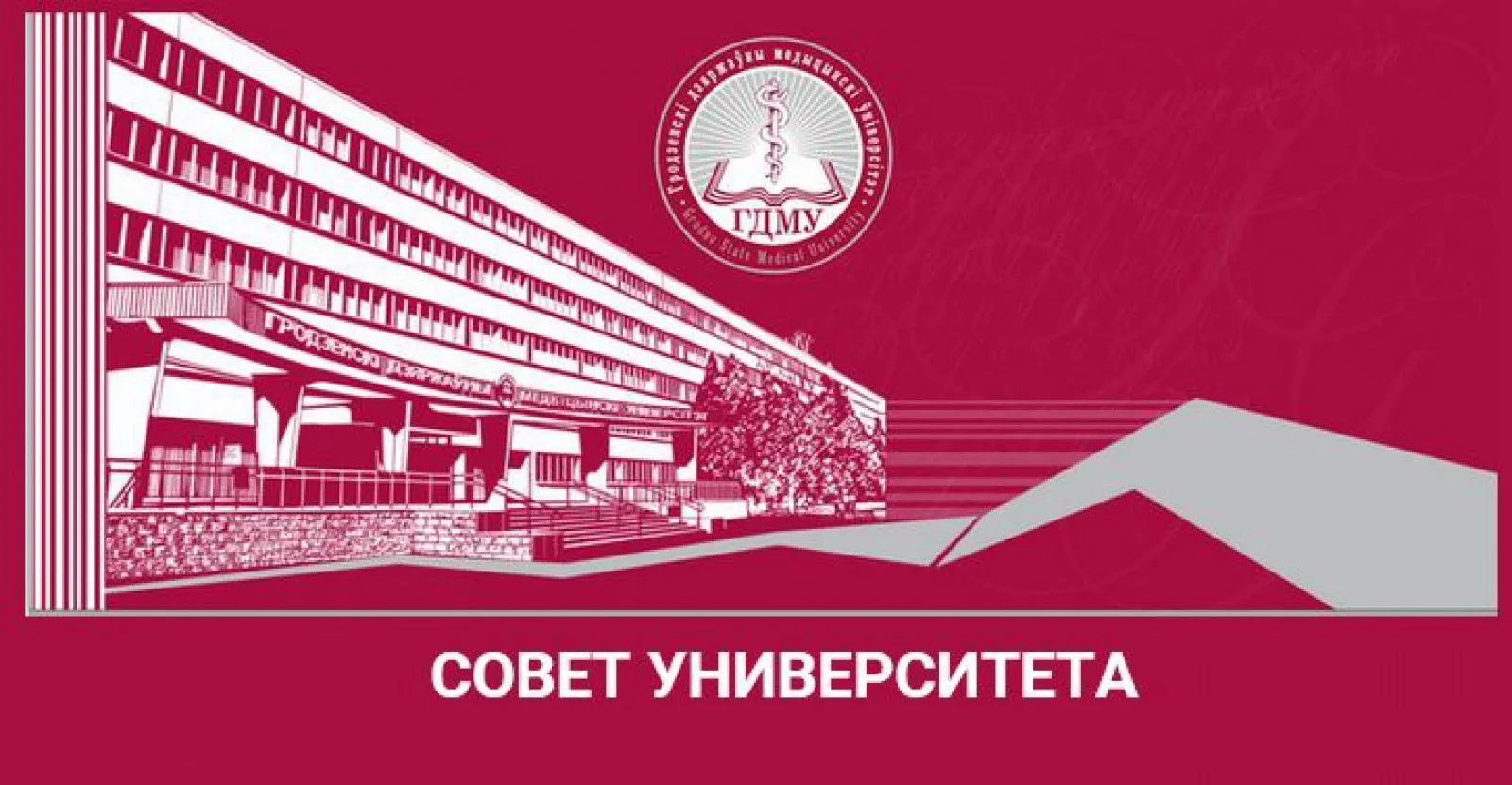 Совет университета