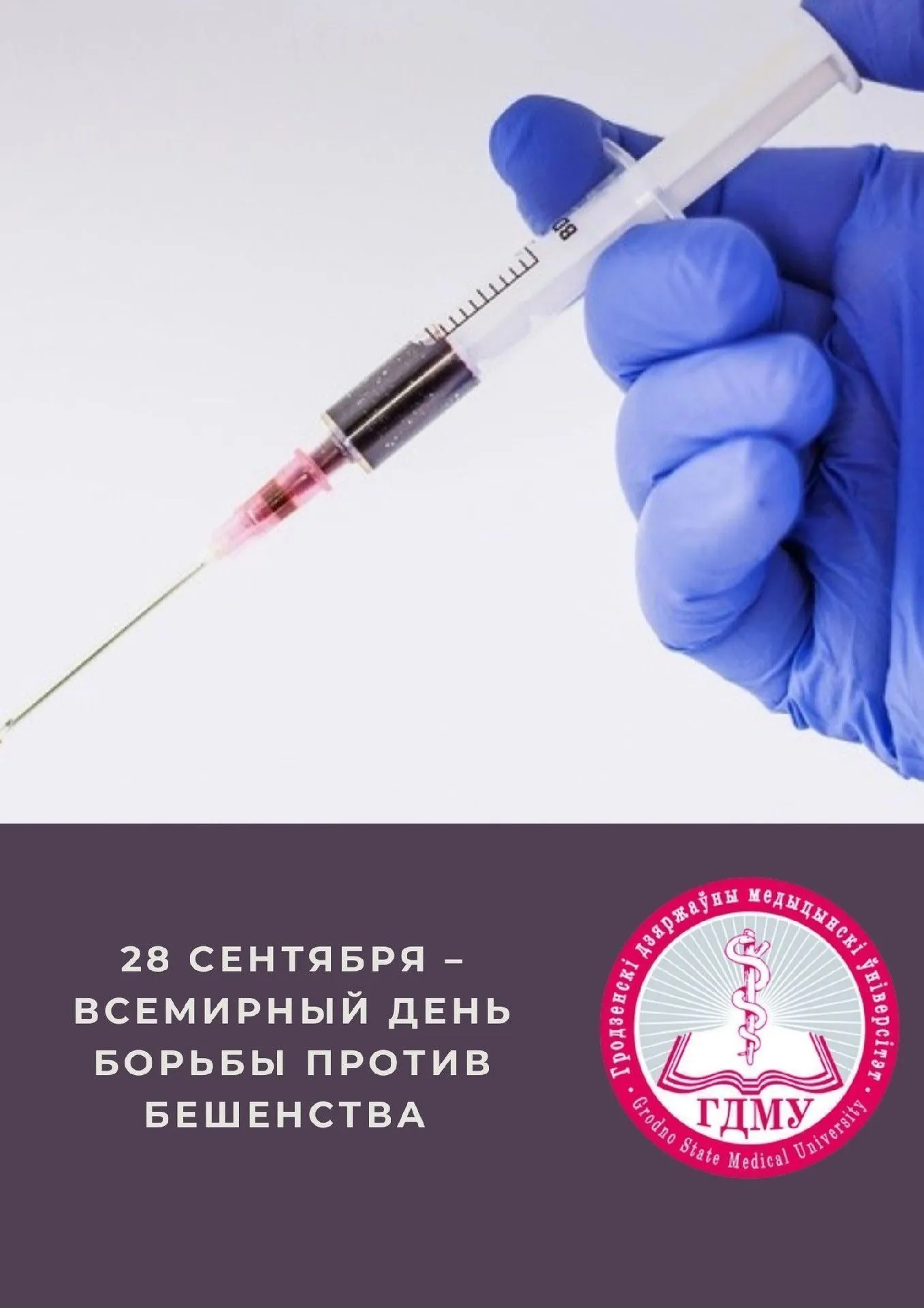 Всемирный день борьбы против бешенства