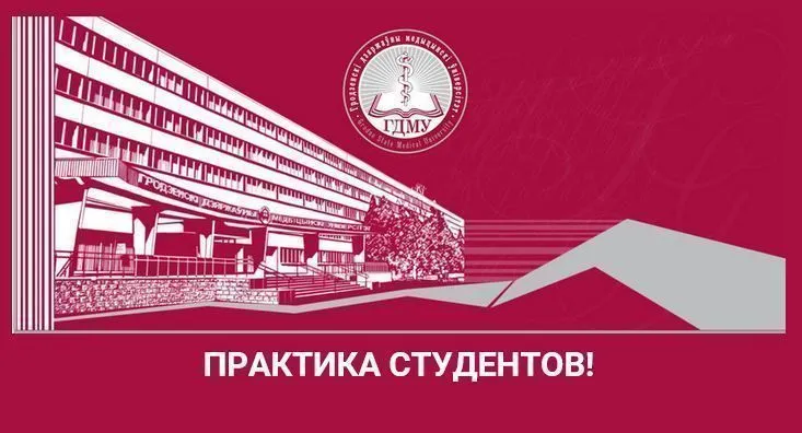 Сводные отчеты по практике