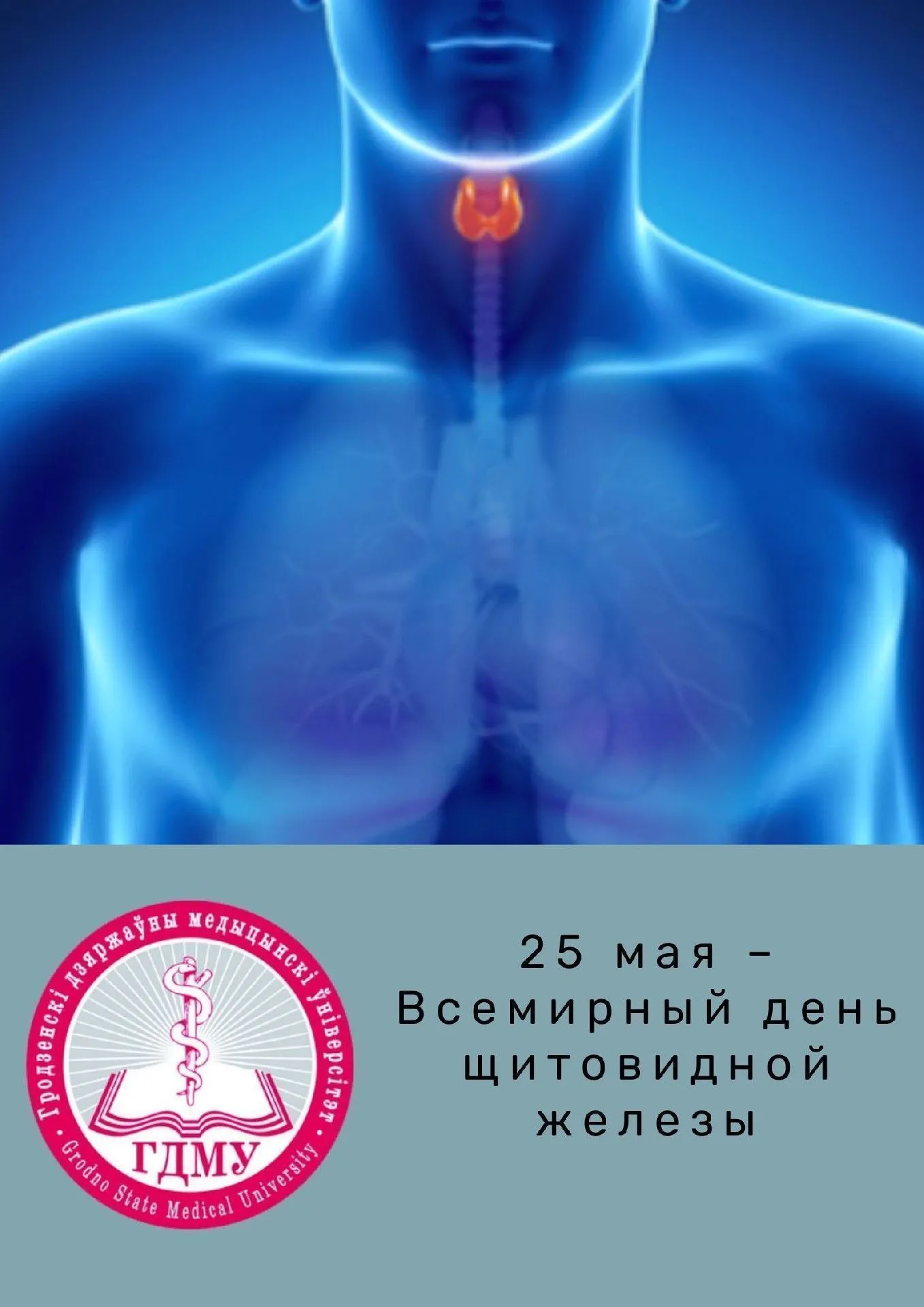 Всемирный день щитовидной железы