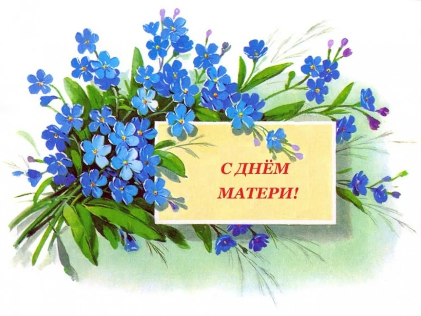 Поздравление с Днём матери от Молодежного крыла ОО «БСЖ» ГрГМУ