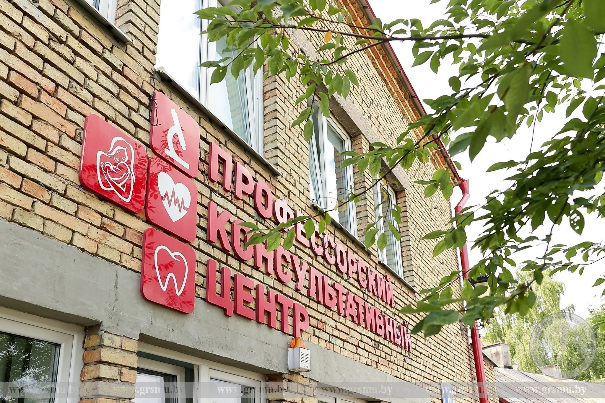 Боль в спине: причины и лечение