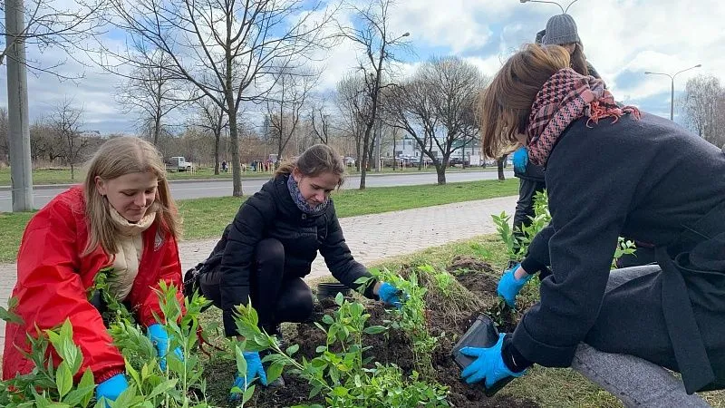 Посадка кустарников в рамках Недели леса