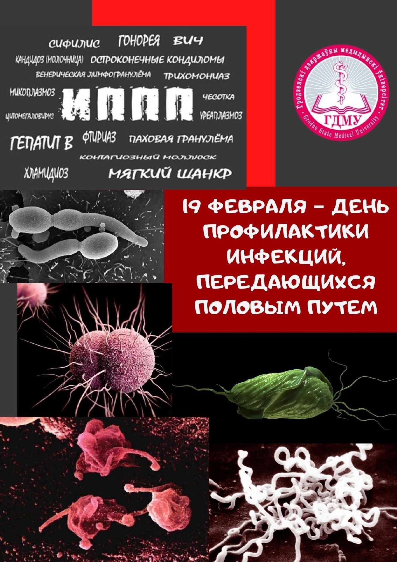 День профилактики инфекций, передающихся половым путем