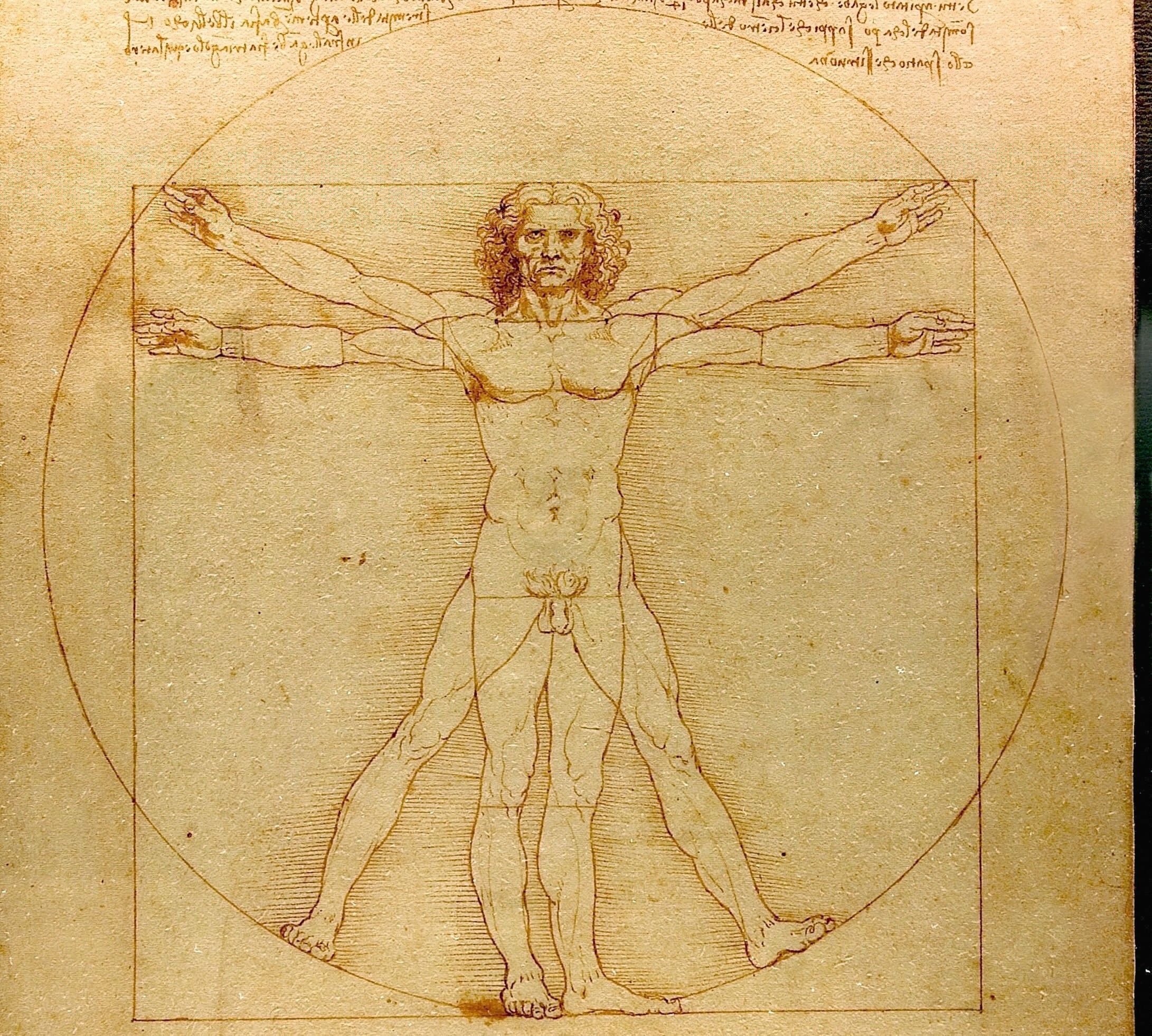 The "Anatomical Drawing" competition