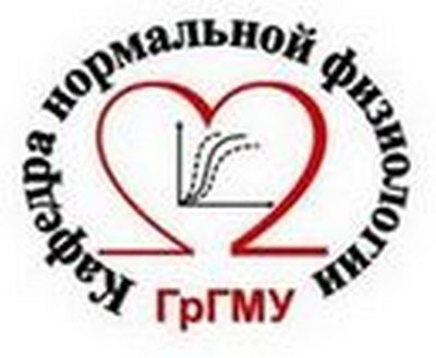 Results of the Olympiad «Computer marathon - 2023»