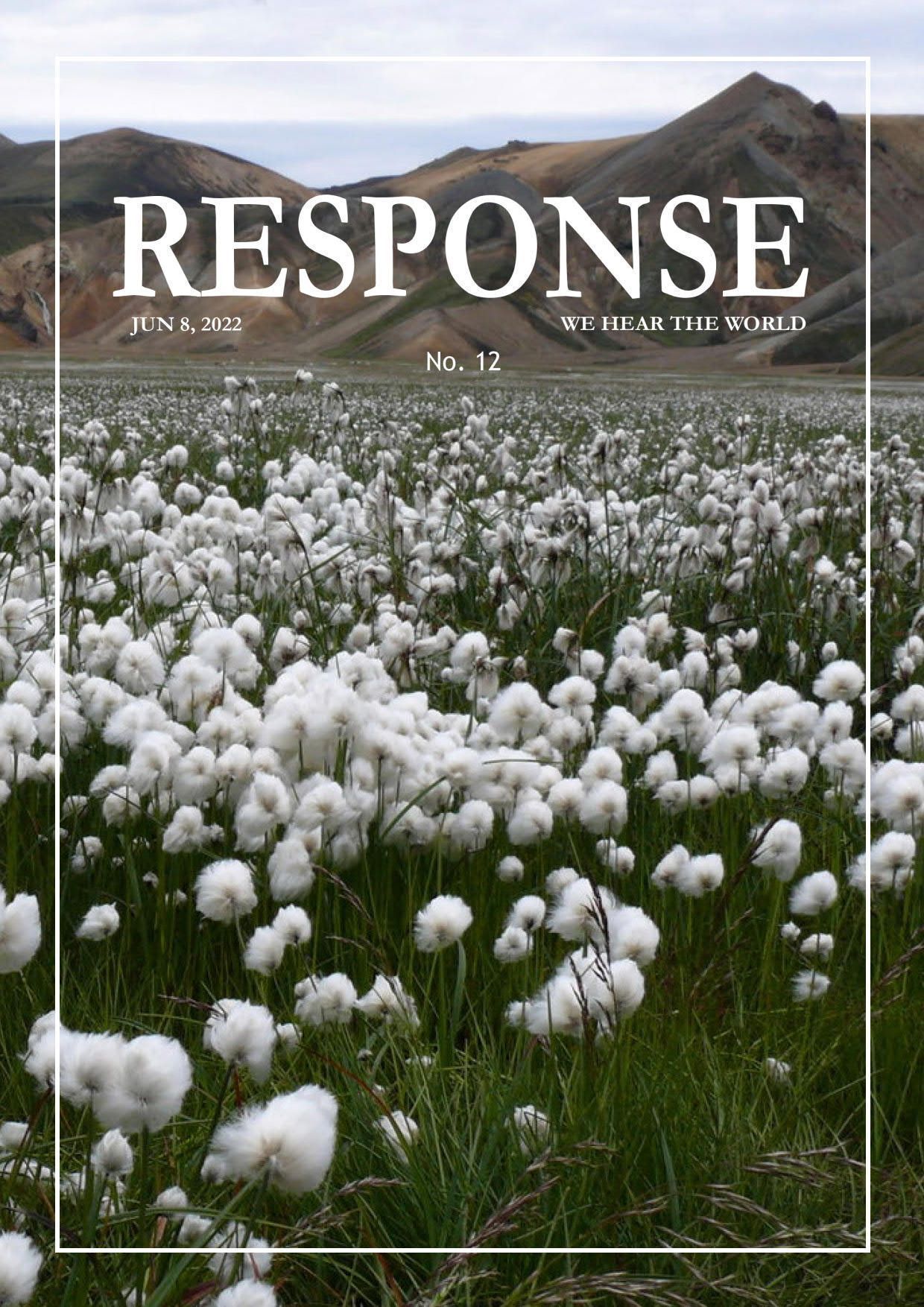 12-й выпуск журнала «RESPONSE»