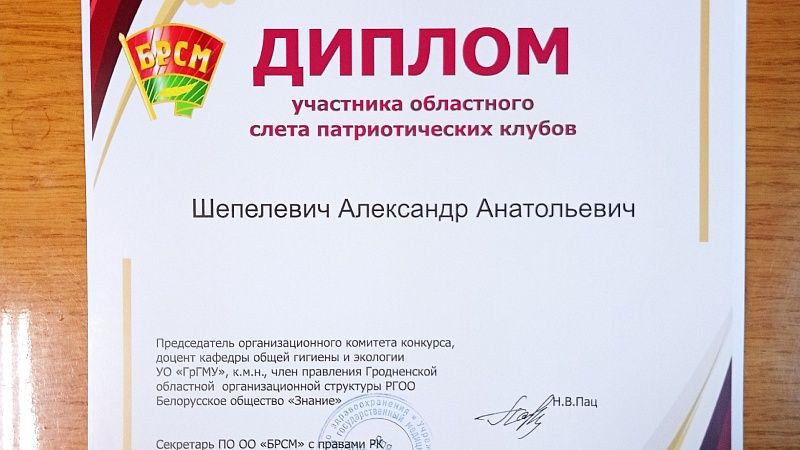 Шепелевич А.А. диплом