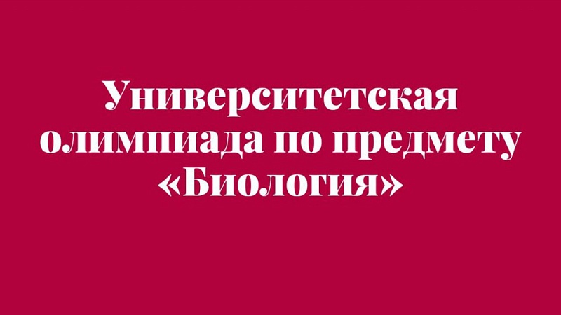 Итоги предварительного этапа университетской олимпиады