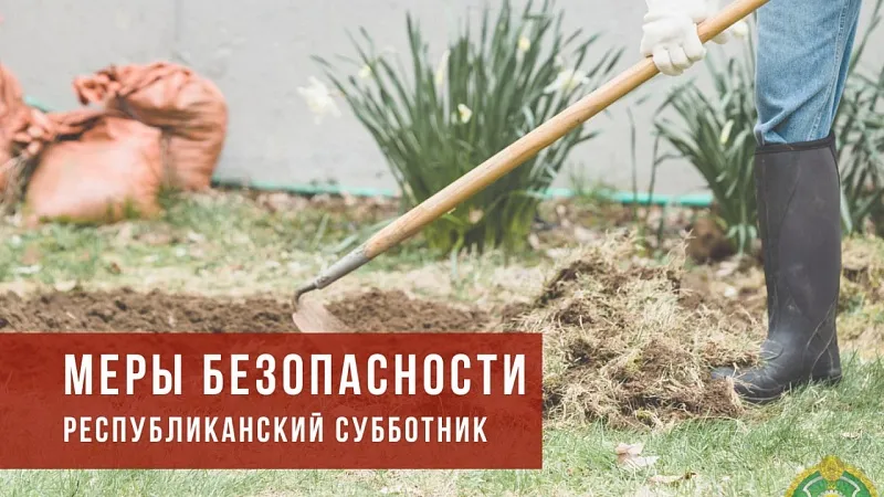 Республиканский субботник пройдет в Беларуси 25 октября
