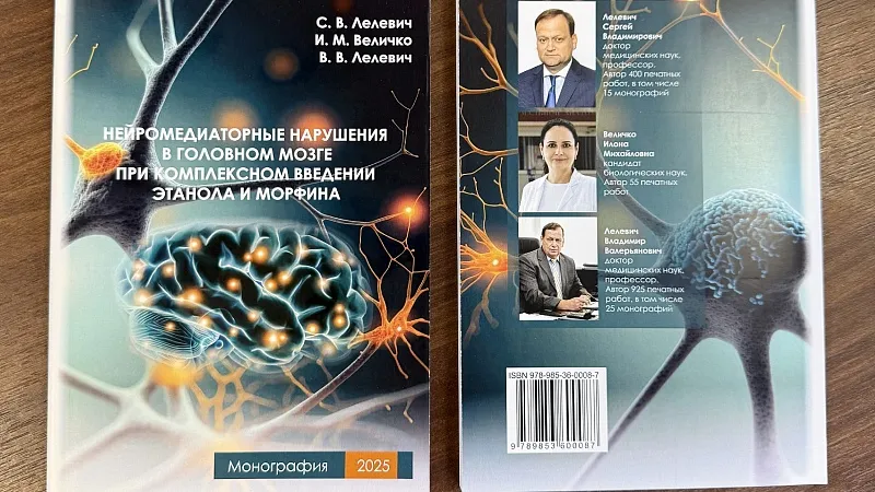 Издана монография «Нейромедиаторные нарушения в головном мозге при комплексном введении этанола и морфина»