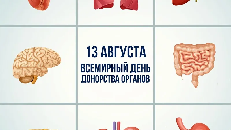 13 августа – Всемирный день донорства органов