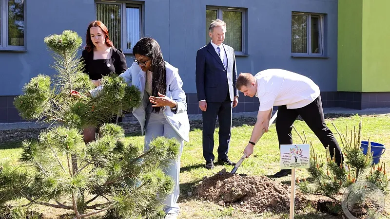 3C4A2451