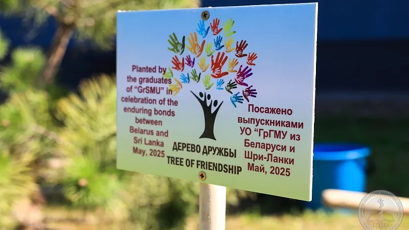 3C4A2325